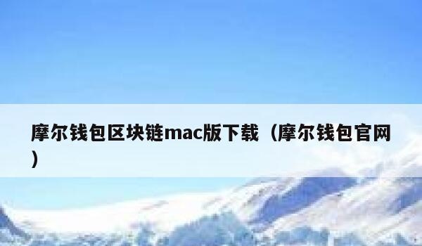 摩尔钱包区块链mac版下载(摩尔钱包官网)