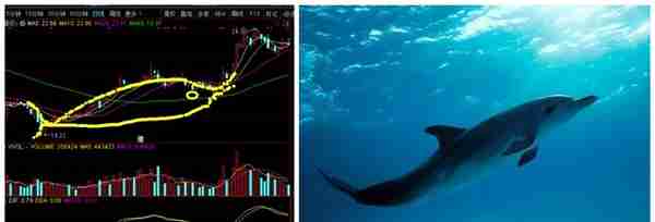 股票经典走势图——“海豚嘴”